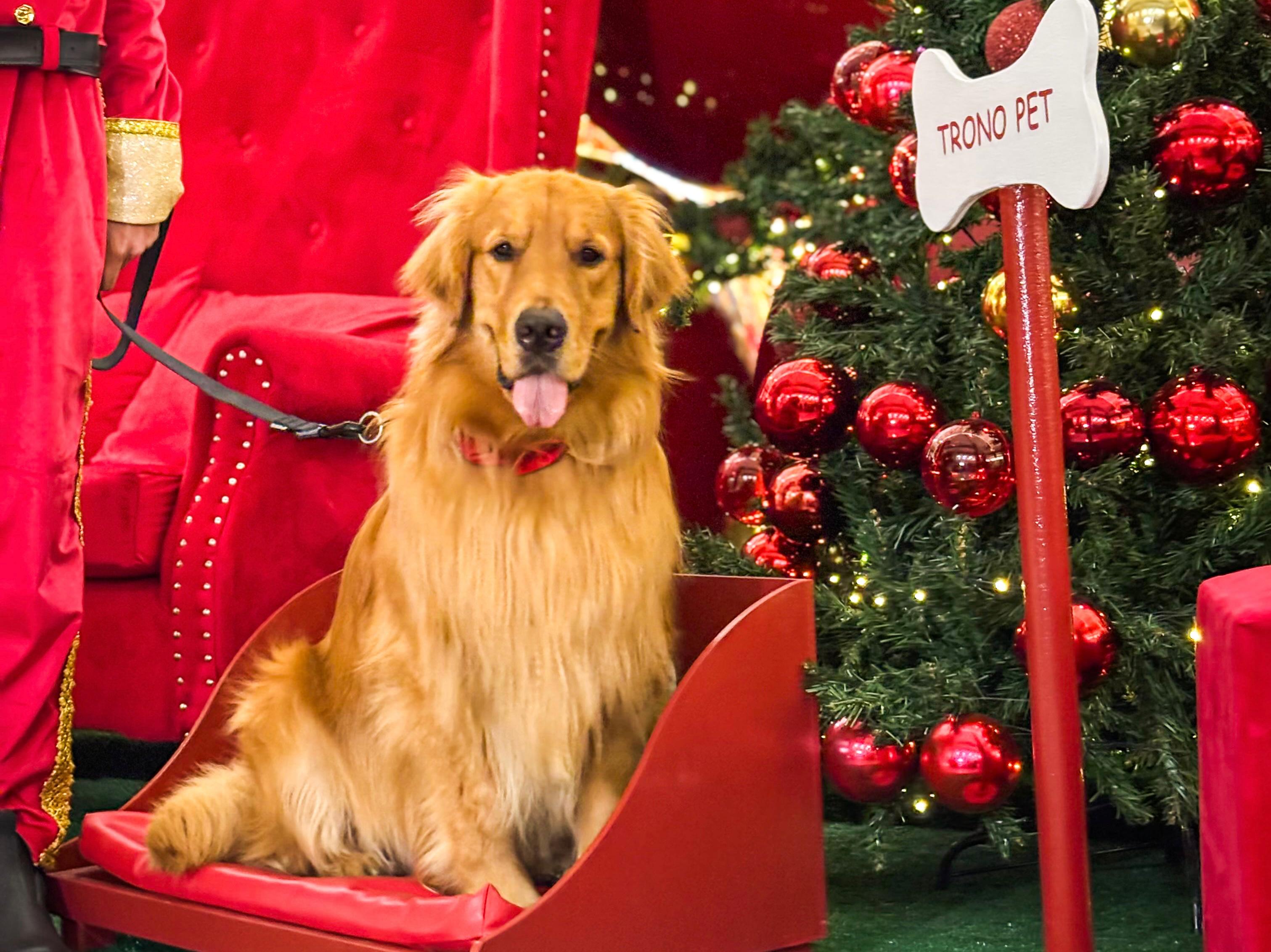 Foto: Gabriel Henrique / MKT SG