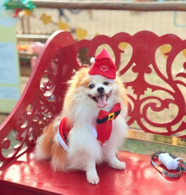 Foto: Acervo Bianca Branco