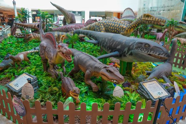 Foto: Arnaldo Carvalho/Especial para o RioMar Recife