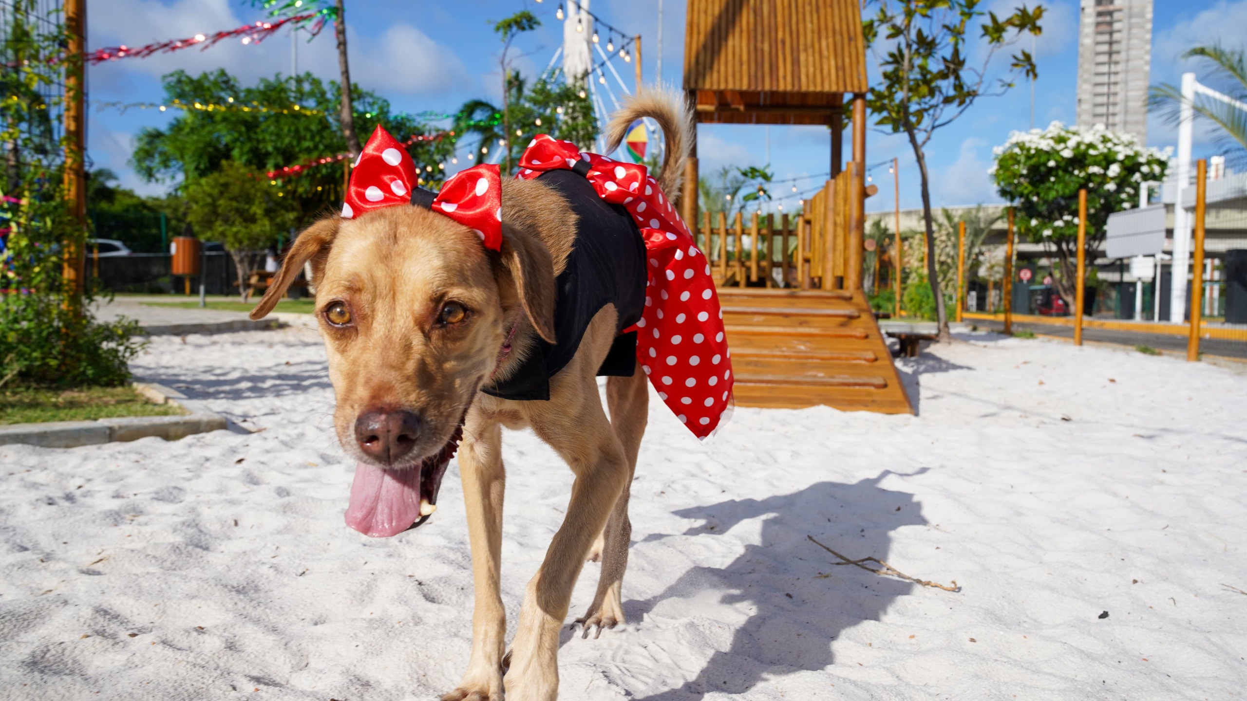 Foto: Arnaldo Carvalho/Especial para o RioMar Recife