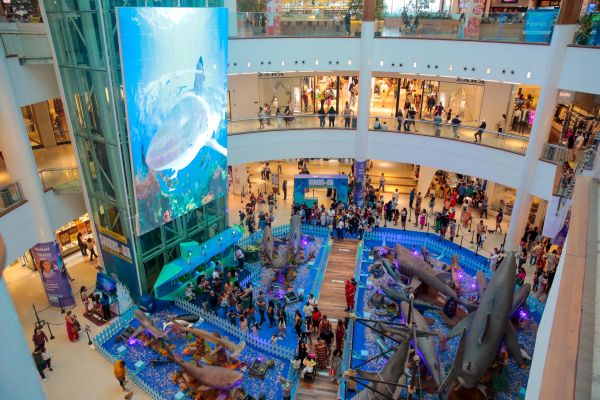 Foto: Heudes Regis/especial para o RioMar Recife