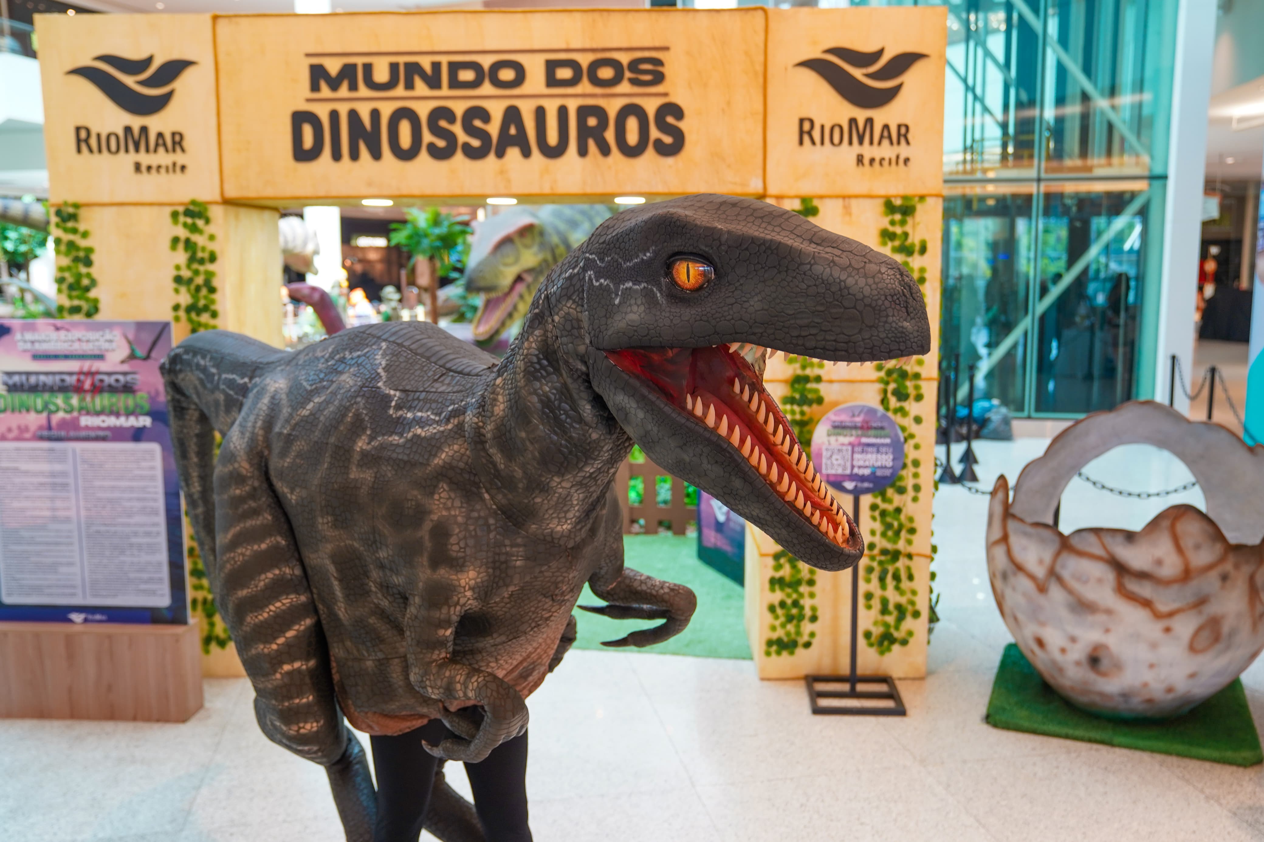 Foto: Arnaldo Carvalho/Especial para o RioMar Recife