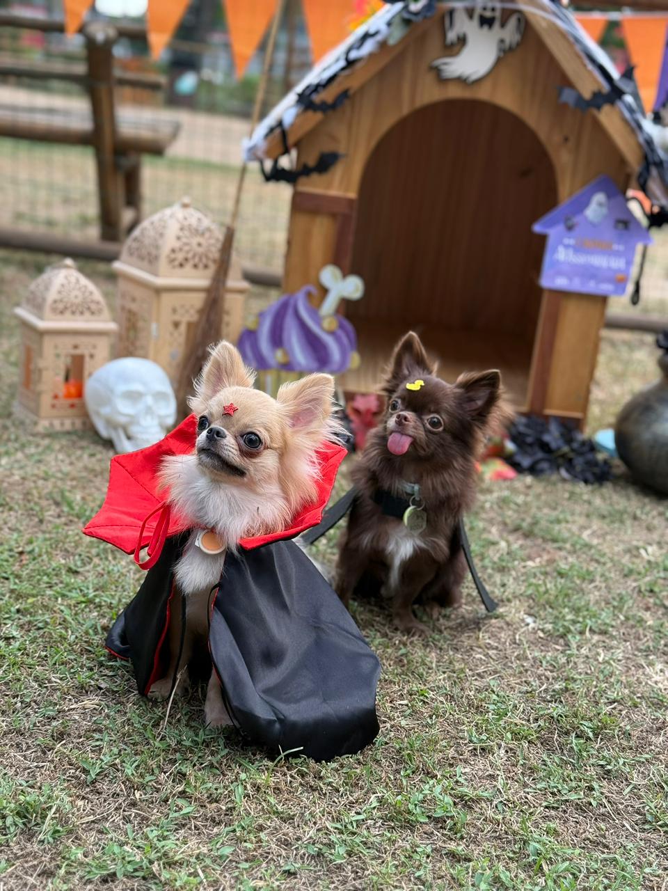 Foto: divulgação/Acervo Plaza Shopping